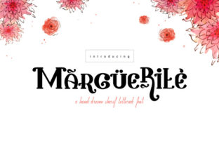 Marguerite Font for Branding and Business Design