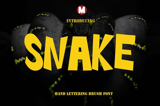 Snake Font: A Hand Lettered Typeface for Editorial Elegance
