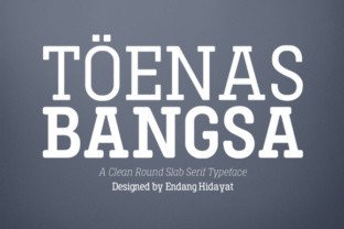 Toenas Bangsa Slab: A Modern Display Font for Web Designers